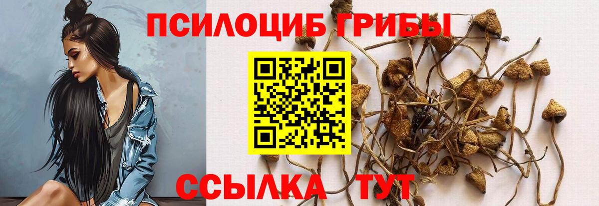 Галлюциногенные грибы MAGIC MUSHROOMS  закладка  Златоуст  Вход с VPN 